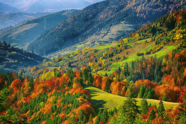 Devenir artiste paysagiste : guide sur la voie à suivre